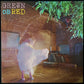 GREEN ON RED - GRAVITY TALKS (USED VINYL 1983 US M-/M-)