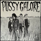 PUSSY GALORE - GROOVY HATE FUCK (FEEL GOOD ABOUT YOUR BODY) (USED VINYL 1987 UK M-/M-)