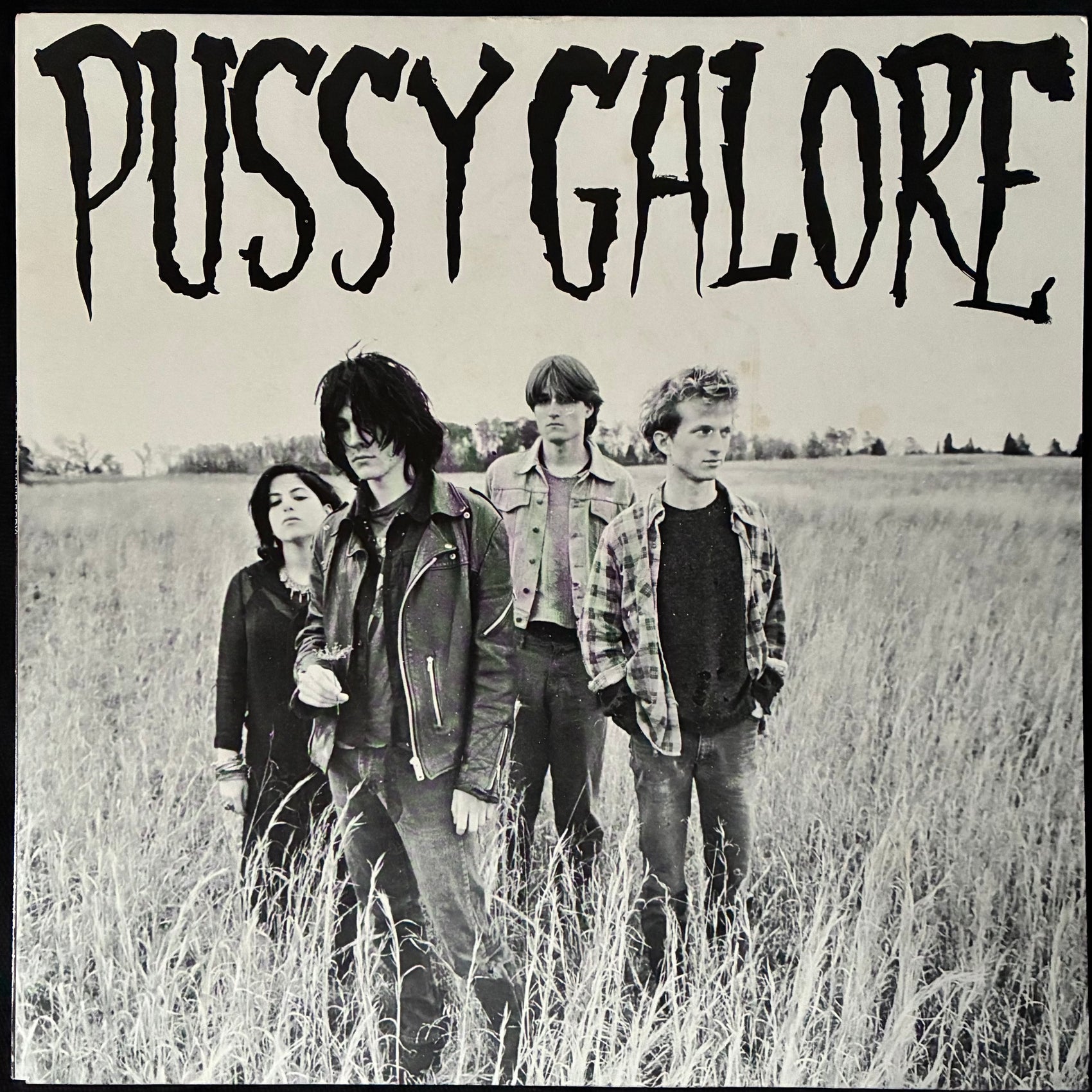 PUSSY GALORE - GROOVY HATE FUCK (FEEL GOOD ABOUT YOUR BODY) (USED VINYL 1987 UK M-/M-)