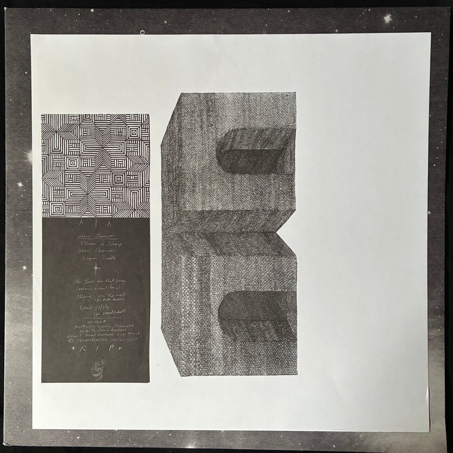 GROUPER - A I A : ALIEN OBSERVER (USED VINYL 2019 US M-/M-)