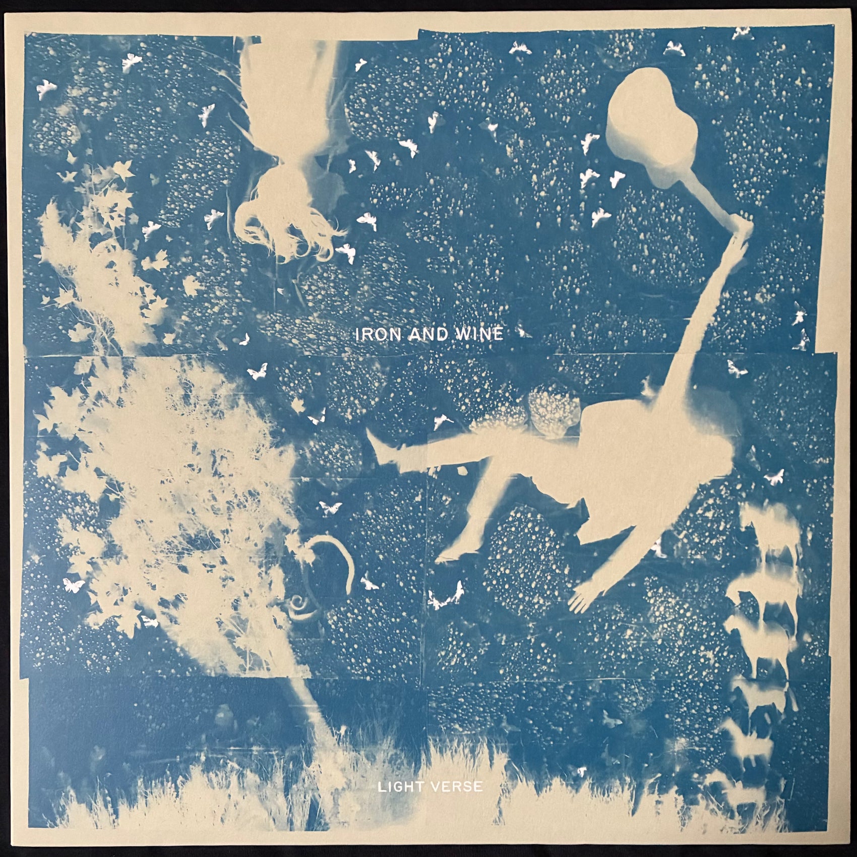 IRON AND WINE - LIGHT VERSE (FIRST PRESSING) (USED VINYL 2024 US M-/M-)