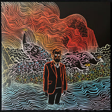 Load image into Gallery viewer, IRON &amp; WINE - KISS EACH OTHER CLEAN (USED VINYL 2011 UK M-/M-)
