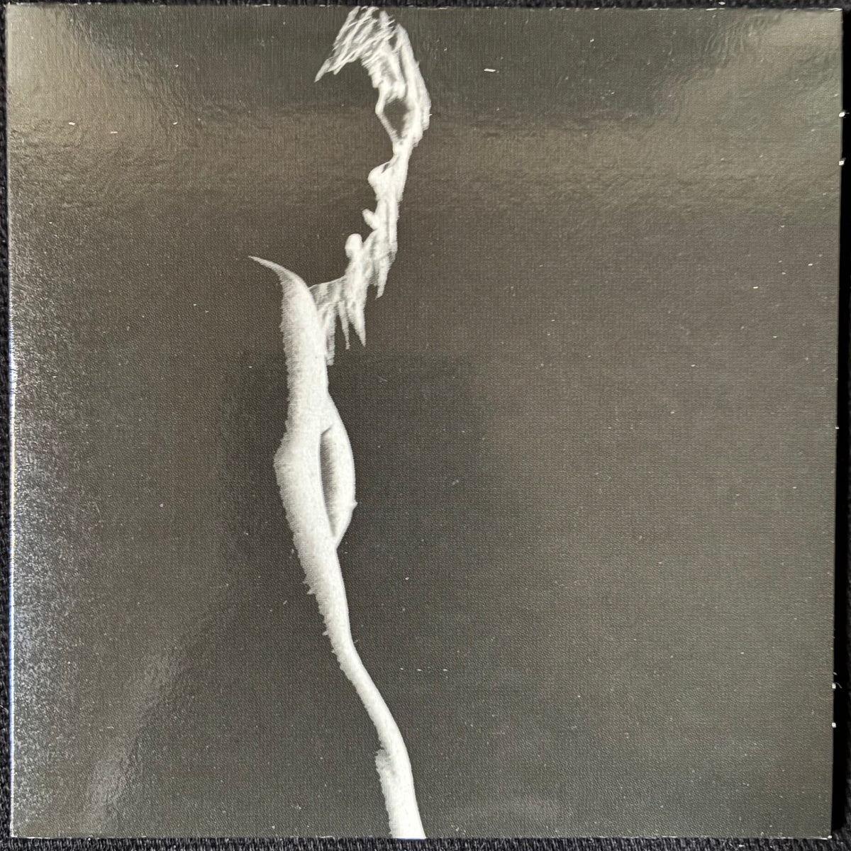 STOOGES - HEAVY LIQUID (6CD BOX SET) (USED CD 2005 UK M-/M-)