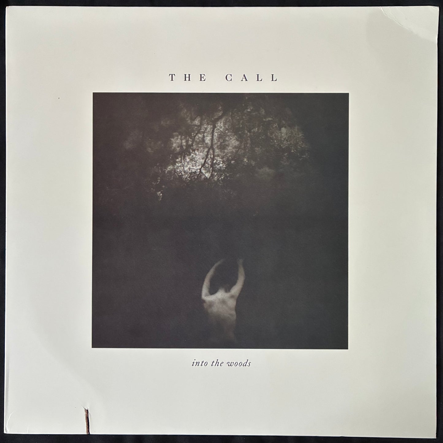 CALL - INTO THE WOODS (USED VINYL 1987 US M-/EX-)