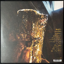 Load image into Gallery viewer, MY MORNING JACKET - IT STILL MOVES (2LP) (USED VINYL 2003 US M-/M-)
