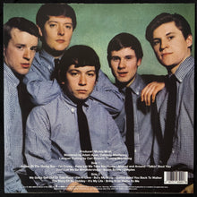Load image into Gallery viewer, ANIMALS - THE BEST OF THE ANIMALS (CLEAR VINYL) (180GM) (USED VINYL 2014 US M-/M-)
