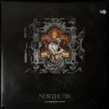 Load image into Gallery viewer, NORTHLESS - CLANDESTINE ABUSE (2LP) (ORANGE MARBLED) (USED VINYL 2011 M-/EX)
