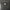 FRED DAVIS - CLEVELAND BLUES (SMOKY COLOURED) (USED VINYL 2023 US/CA M-/M-)