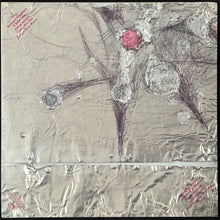 Load image into Gallery viewer, STEPHEN MALKMUS - GROOVE DENIED (USED VINYL 2019 EU M-/M-)
