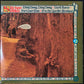 GEORGE HARRISON - DARK HORSE (USED VINYL 1974 US EX+/EX+)