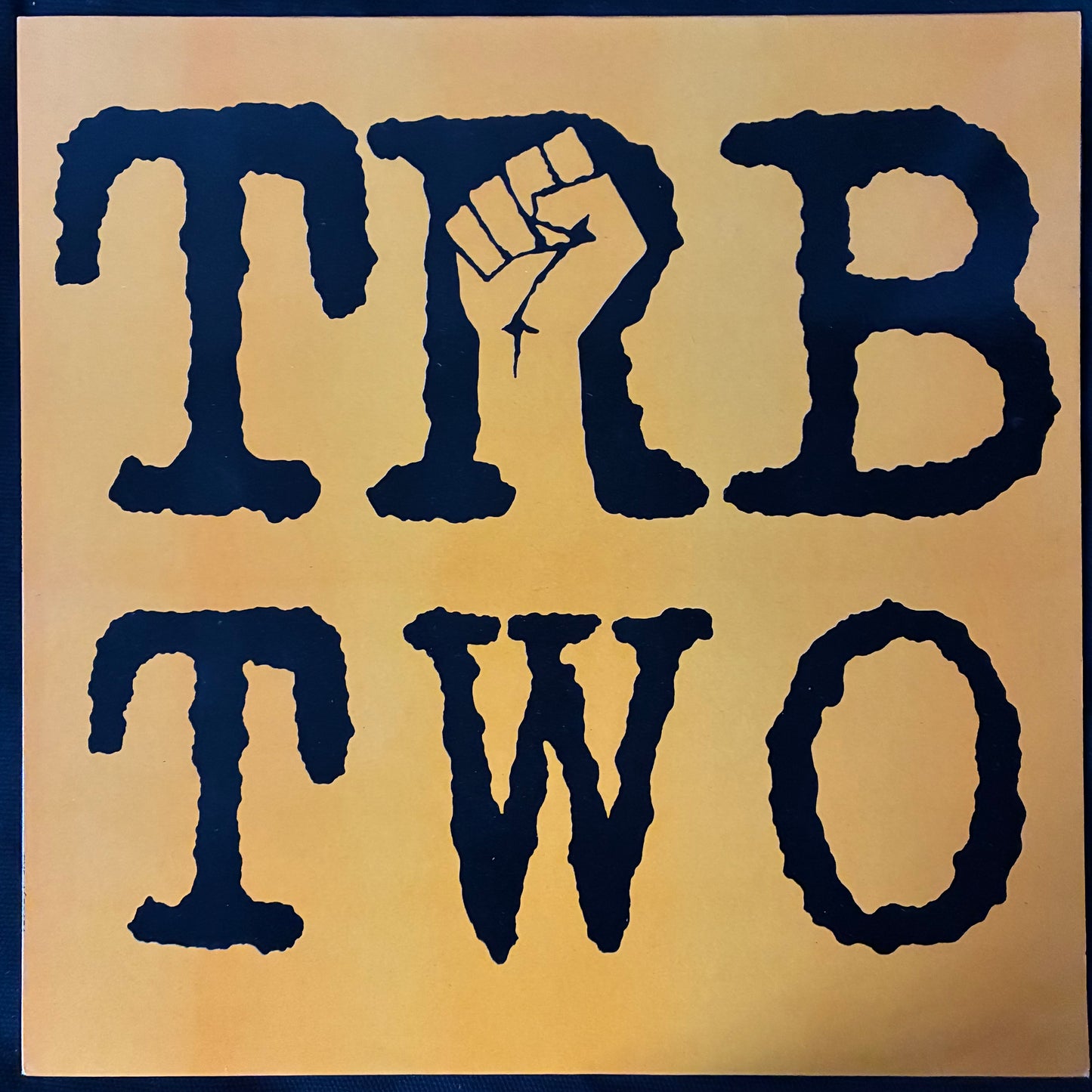 TOM ROBINSON BAND - TRB TWO (USED VINYL 1985 UK M-/M-)