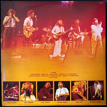 Load image into Gallery viewer, BEACH BOYS - THE BEACH BOYS IN CONCERT (2LP) (USED VINYL 1973 UK M-/EX+)

