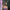 HOLLY HUMBERSTONE - PAINT MY BEDROOM BLACK (PURPLE MARBLED) (SIGNED) (USED VINYL 2023 UK/EU M-/M-)