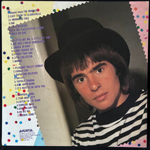 Load image into Gallery viewer, MONKEES - GOLDEN STORY (2LP) (USED VINYL 1980 JAPAN M-/EX-)
