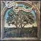 STEELEYE SPAN - NOW WE ARE SIX (USED VINYL 1974 AUS M-/EX+)