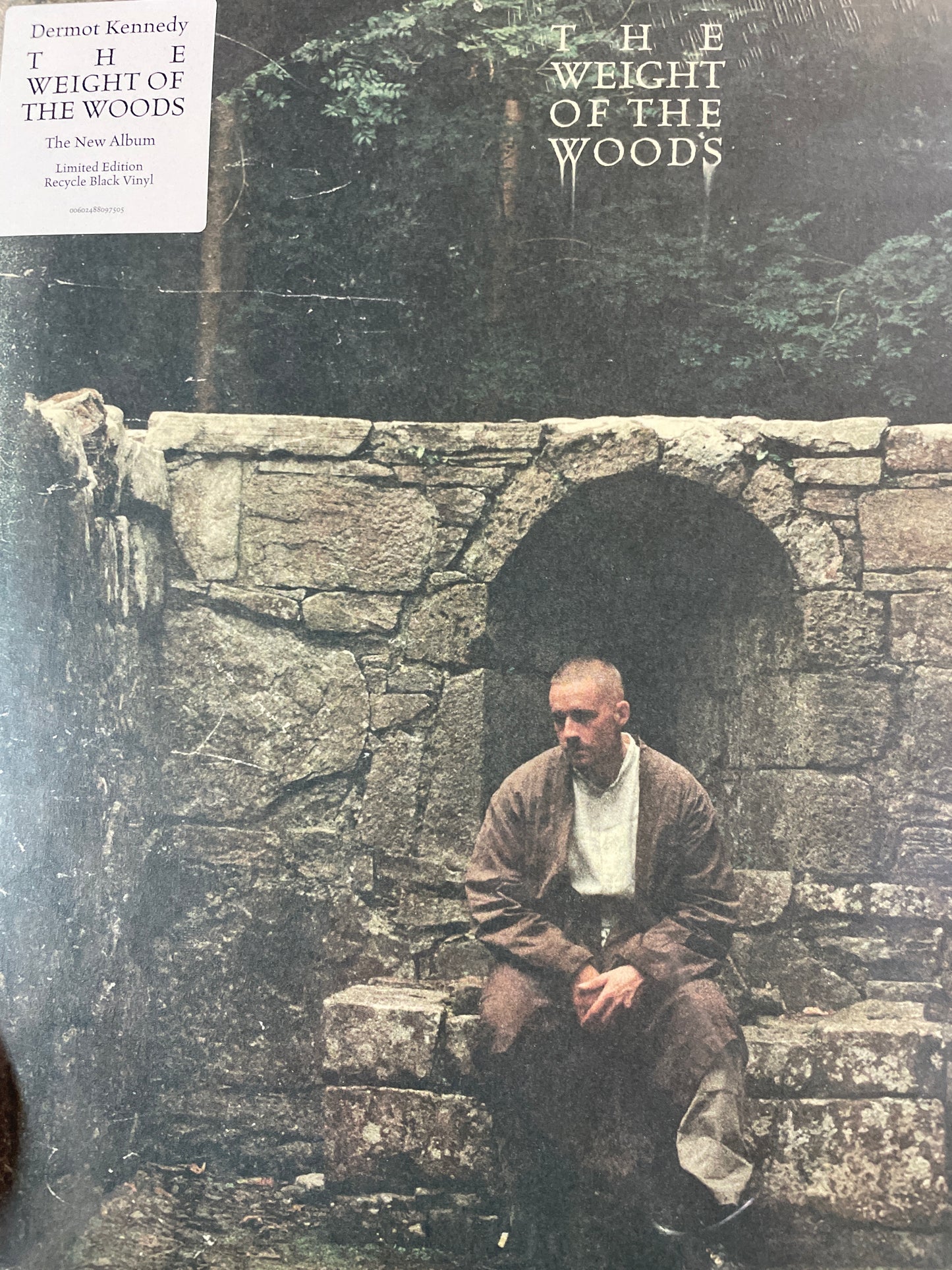 DERMOT KENNEDY - THE WEIGHT OF THE WOODS VINYL