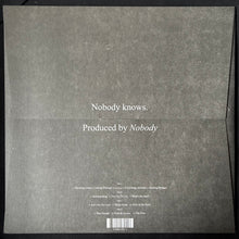 Load image into Gallery viewer, WILLIS EARL BEAL - NOBODY KNOWS. (2LP+POSTER) (USED VINYL 2013 US M-/M-)
