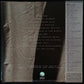 DON HENLEY - BUILDING THE PERFECT BEAST (USED VINYL 1984 JAPAN M-/M-)