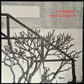 ED KUEPPER - ELECTRICAL STORM (USED VINYL 1985 AUS M-/M-)