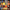 WHO - FACE DANCES (2LP) (HALF SPEED MASTERED) (YELLOW/BLUE COLOURED) VINYL