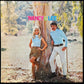 NANCY & LEE - NANCY & LEE (USED VINYL 1968 JAPAN M-/EX)