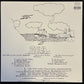 NEIL YOUNG & CRAZY HORSE - ZUMA (USED VINYL EU M-/M-)
