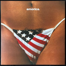 Load image into Gallery viewer, BLACK CROWES - AMORICA (2LP) (USED VINYL 2015 EU M-/M-)
