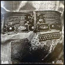 Load image into Gallery viewer, NEIL YOUNG - AFTER THE GOLD RUSH (USED VINYL 2009 US (180GM) M-/M-)
