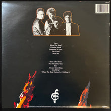 Load image into Gallery viewer, CHOSEN FEW - FRIENDS FOES &amp; FIREWOOD (USED VINYL 1990 AUS M-/M-)
