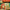FLAMING LIPS - YOSHIMI BATTLES THE PINK ROBOTS 20TH ANNIVERSARY (5LP) SET