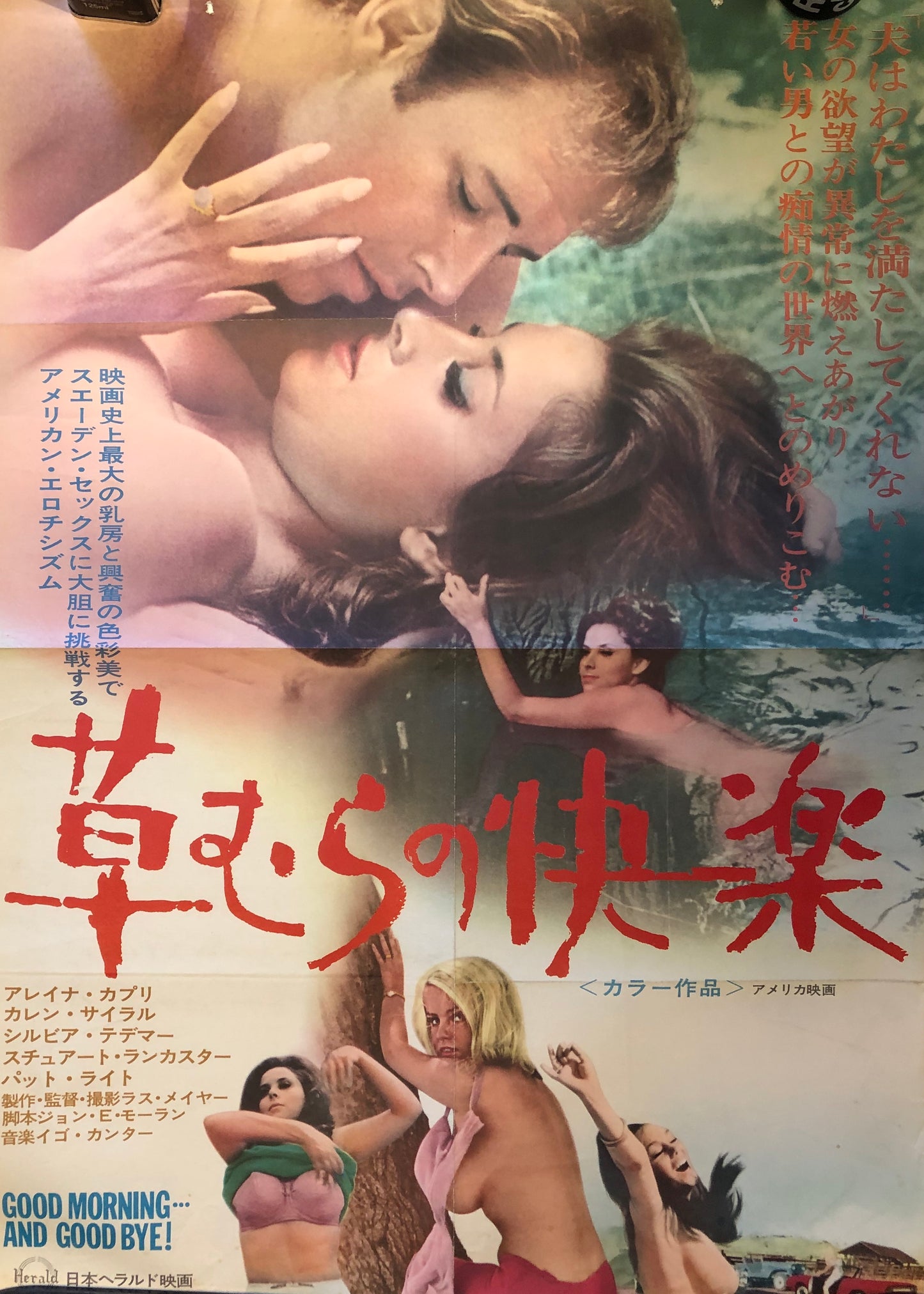 GOOD MORNING...AND GOODBYE! MOVIE POSTER