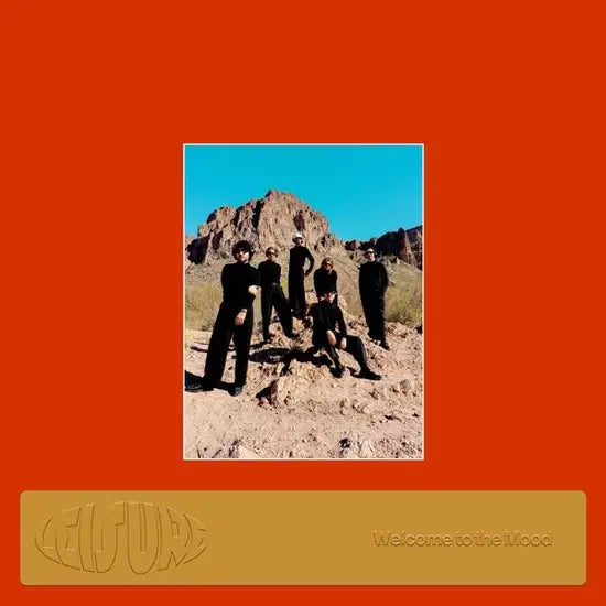 LEISURE - WELCOME TO THE MOOD VINYL
