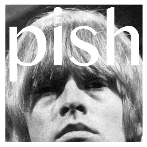 BRIAN JONESTOWN MASSACRE - MINI-ALBUM-THINGY-WINGY (180GM) VINYL