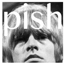 Load image into Gallery viewer, BRIAN JONESTOWN MASSACRE - MINI-ALBUM-THINGY-WINGY (180GM) VINYL

