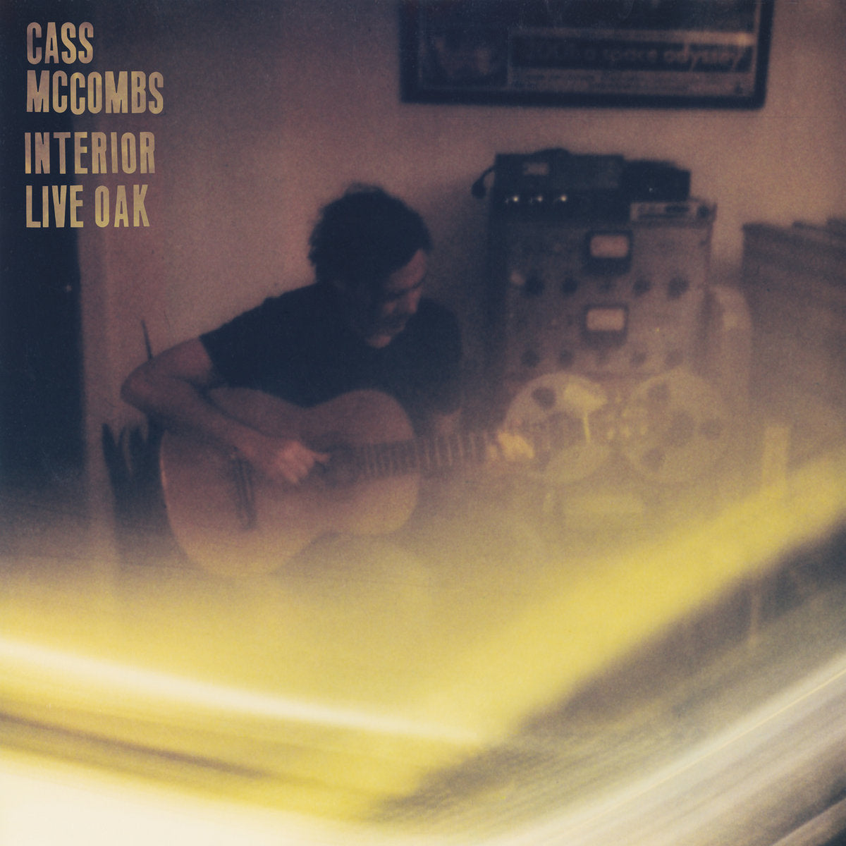 CASS MCCOMBS - INTERIOR LIVE OAK (2LP) VINYL