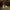 BAD BUNNY - DEBI TIRAR MAS FOTOS (OPAQUE COLOURED) (2LP) VINYL