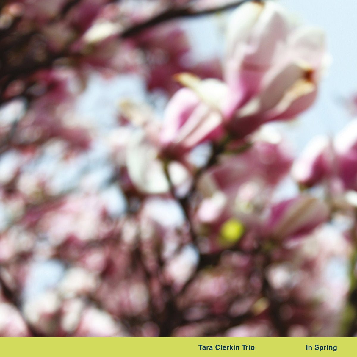 TARA CLERKIN TRIO - IN SPRING VINYL