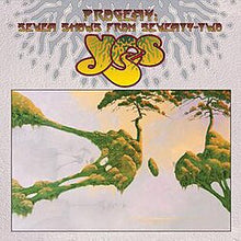 Load image into Gallery viewer, YES - PROGENY: SEVEN SHOWS FROM SEVENTY-TWO (21 LP BOX SET)
