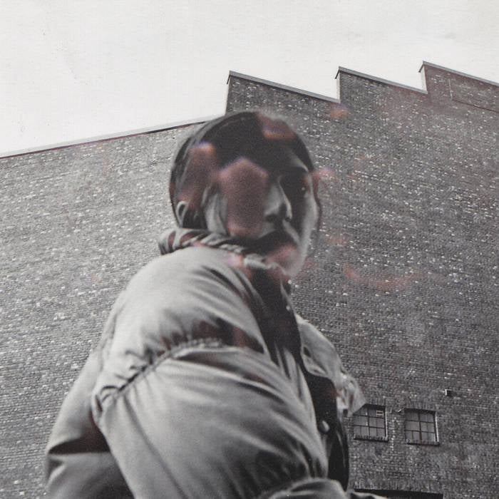 ALDOUS HARDING - WARM CHRIS VINYL