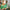 JULIA JACKLIN - CRUSHING (GREEN COLOURED) VINYL