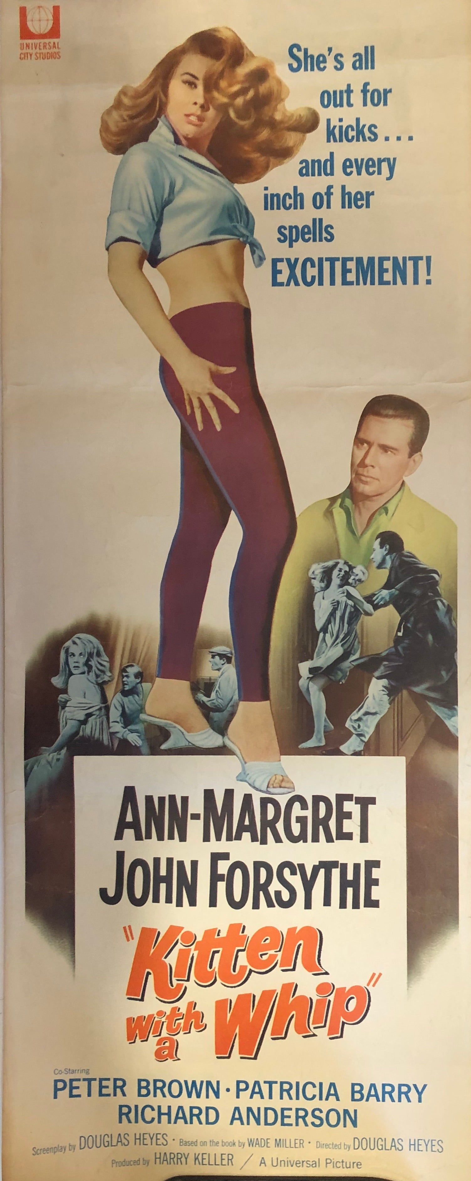 KITTEN WITH A WHIP DAYBILL POSTER