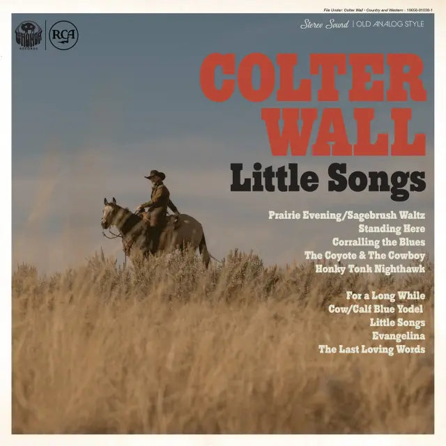 COLTER WALL - LITTLE SONGS VINYL