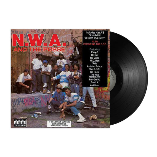 VARIOUS ARTISTS - N.W.A. AND THE POSSE VINYL