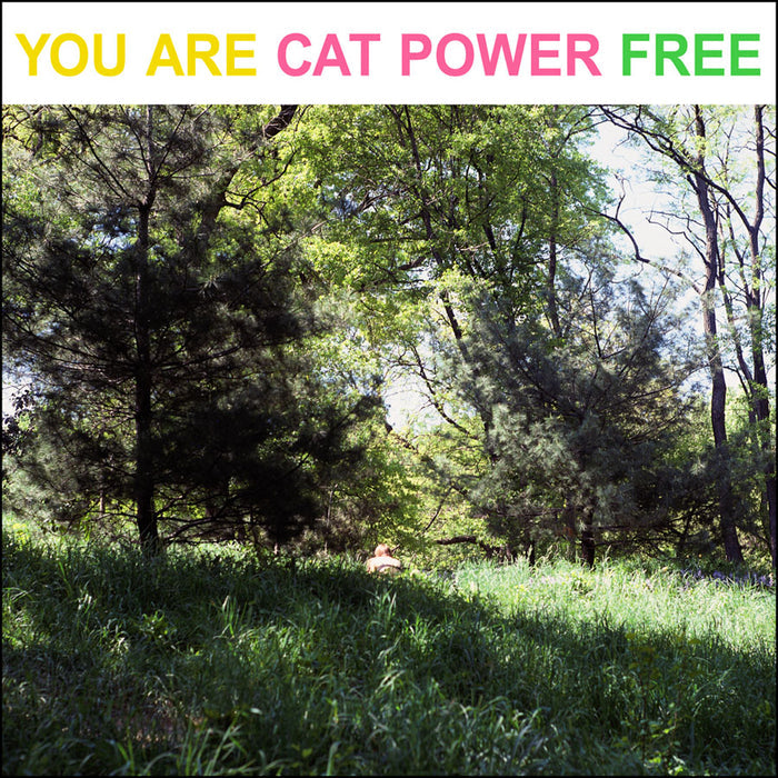 CAT POWER - YOU ARE FREE VINYL