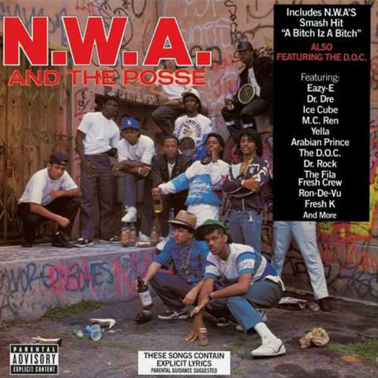 VARIOUS ARTISTS - N.W.A. AND THE POSSE VINYL