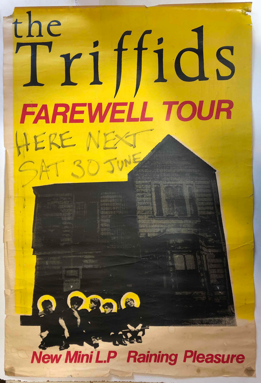 TRIFFIDS - RAINING PLEASURE (USED) POSTER