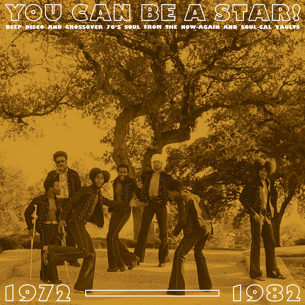 VARIOUS ARTISTS - YOU CAN BE A STAR! : DEEP DISCO AND CROSSOVER 70'S SOUL FROM THE NOW-AGAIN AND SOUL-CAL VAULTS VINYL