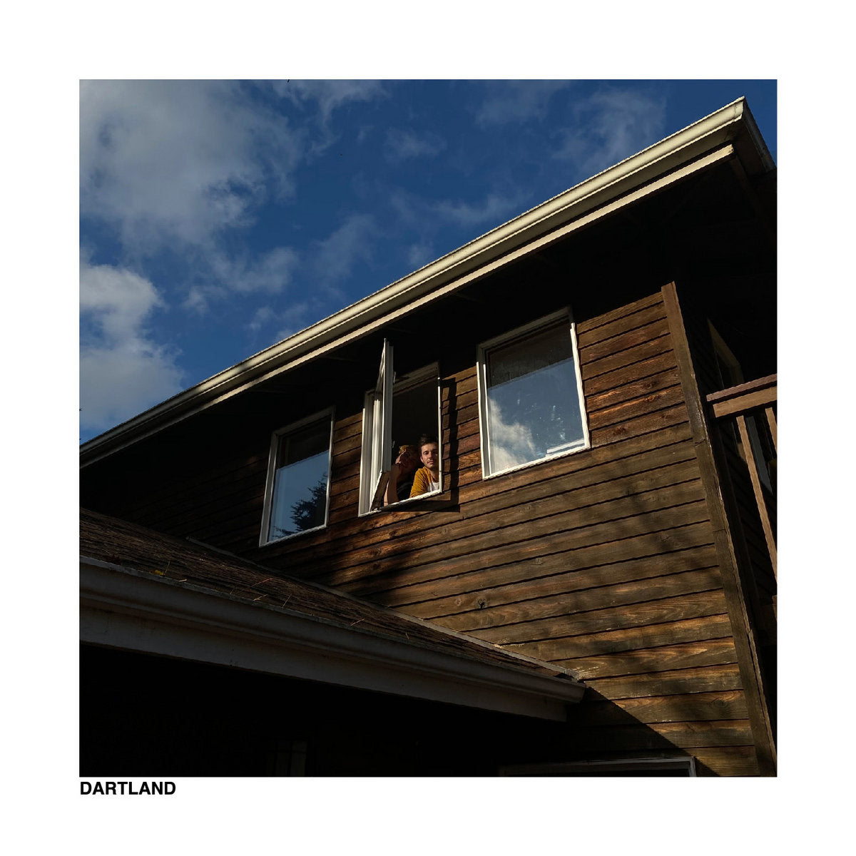 WORST PARTY EVER - DARTLAND VINYL