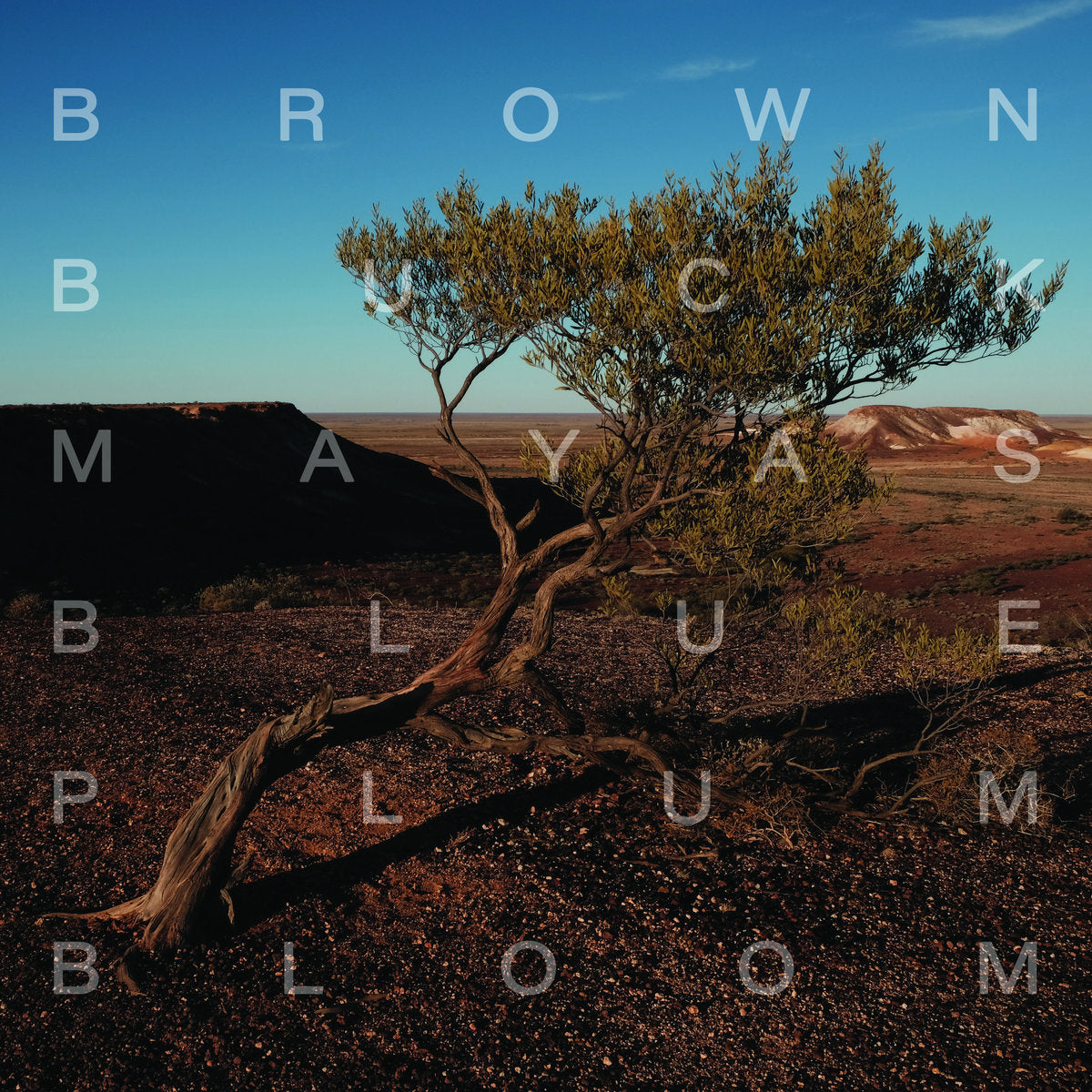 BROWN BUCK MAYAS - BLUE PLUM BLOOM VINYL