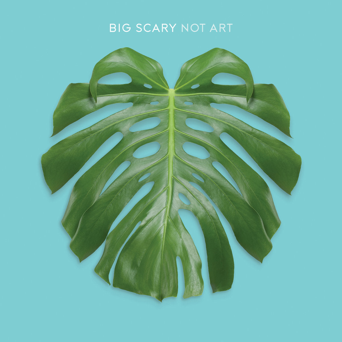 BIG SCARY - NOT ART VINYL